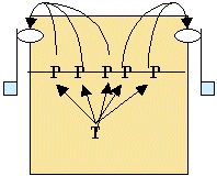L'allenatore lancia serie di palloni dalle diverse posizioni e il giocatore che palleggia passa la palla alternativamente in zona 4 e 2.