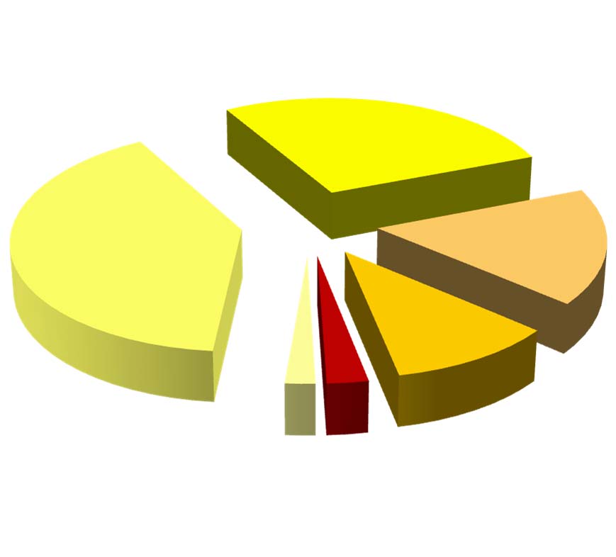 Spesa e investimenti in Italia Spesa e investimenti Consuntivo 2009-2015 Spesa e investimenti previsti Piano 2016-2019 Investimenti Upstream 31% Investimenti Upstream 27% HSE e Bonifiche 36%