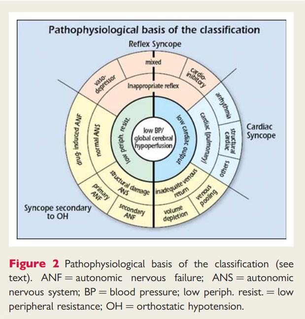 Indipendentemente dalle cause, il meccanismo fisiopatologico alla base della sincope è sempre, una transitoria ipoperfusione