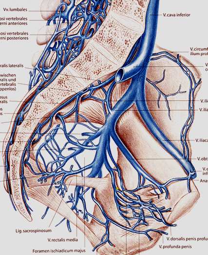 10-20% arterial e.g.