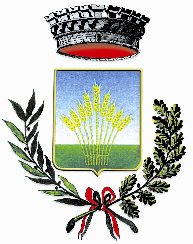 COMUNE di MANOPPEPLLO (Provincia di Pescara) REGOLAMENTO per l organizzazione del
