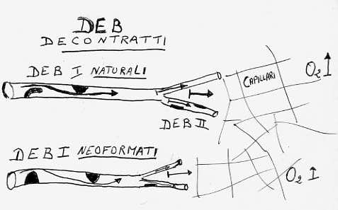 Fig. 4 DEB tipo I e tipo II, fisiologici. Fig.