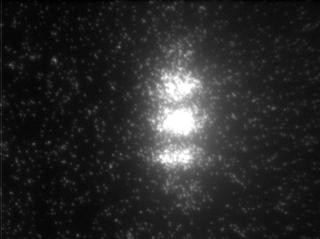 5.3 Comportamento corpuscolare della luce 27 Figura 5.3: Immagini ottenute da un esperimento di interferenza con fotoni singoli [19]. Le due immagini sono ottenute con tempi di esposizione diversi.