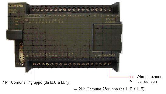 Il comune degli ingressi! Normalmente i PLC hanno un comune per gli ingressi (questo modello un comune per gli ingressi da I0.0 a I0.7 ed uno per gli ingressi da I1.0 a I1.5).