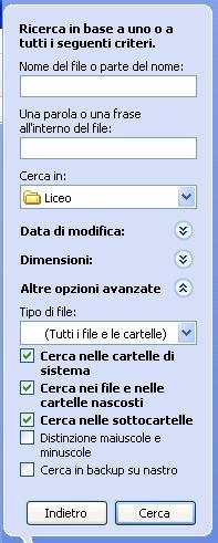 Nell'opzione Tutti i file e le cartelle esistono, oltre alle caselle di testo, altre voci che permettono di effettuare ricerche avanzate: Percorso; Data di