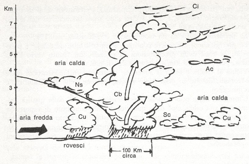 Fronte freddo L aria calda si solleva rapidamente incalzata dal fronte freddo e dà