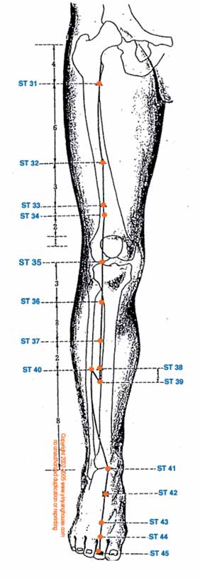 10 L ANNO DEL BUFALO www.yinyanghouse.com/acupuncturepoints/kidney_meridian_graphic.