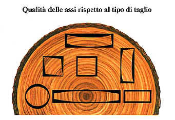 tronco può essere ridotto ad assi secondo diversi schemi di taglio. L ideale per ottenere assi di buona qualità, non soggette a imbarcatura, è il taglio perpendicolare agli anelli di accrescimento.