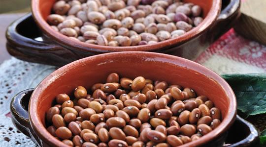 I vini Fagioli di Sarconi Le condizioni climatiche e irrigue della Val d Agri permettono da secoli la produzione di questi fagioli che si distinguono per l alto contenuto di zuccheri semplici, fibre