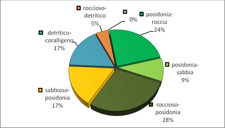 tra Punta La Mandria a Tavolara, Molara e Monte Petrosu, dove la prateria è rada e lascia il posto a sabbie biodetritiche.