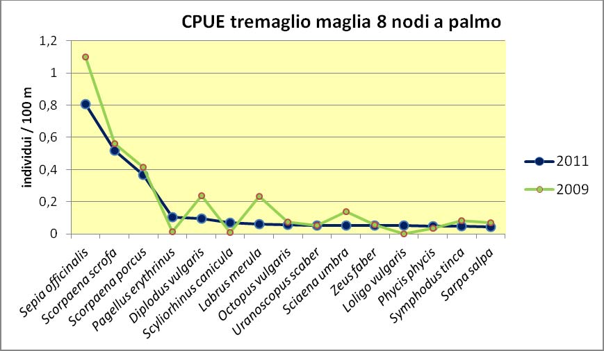 Triglie di scoglio pescate nella cala T39 Grossa corvina catturata nella cala T33 Fig. 10. Catture per unità di sforzo per i tremagli con maglia dell 8.