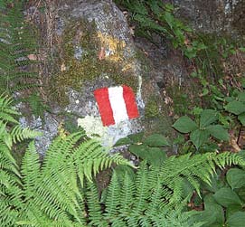 segnavia semplice segnavia a bandierina Segnaletica orizzontale (secondaria) E formata da segnavia a vernice di colore bianco-rosso o rosso-bianco-rosso (detto anche bandierina e che contiene il