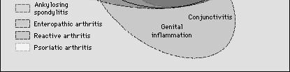 ASSOCIAZIONE IN VARIA PERCENTUALE CON L ANTIGENE DI ISTOCOMPATIBILITA DI CLASSE I B27 -Ratti transgenici per il B27 sviluppano spontaneamente una condizione caratterizzata da lesioni -