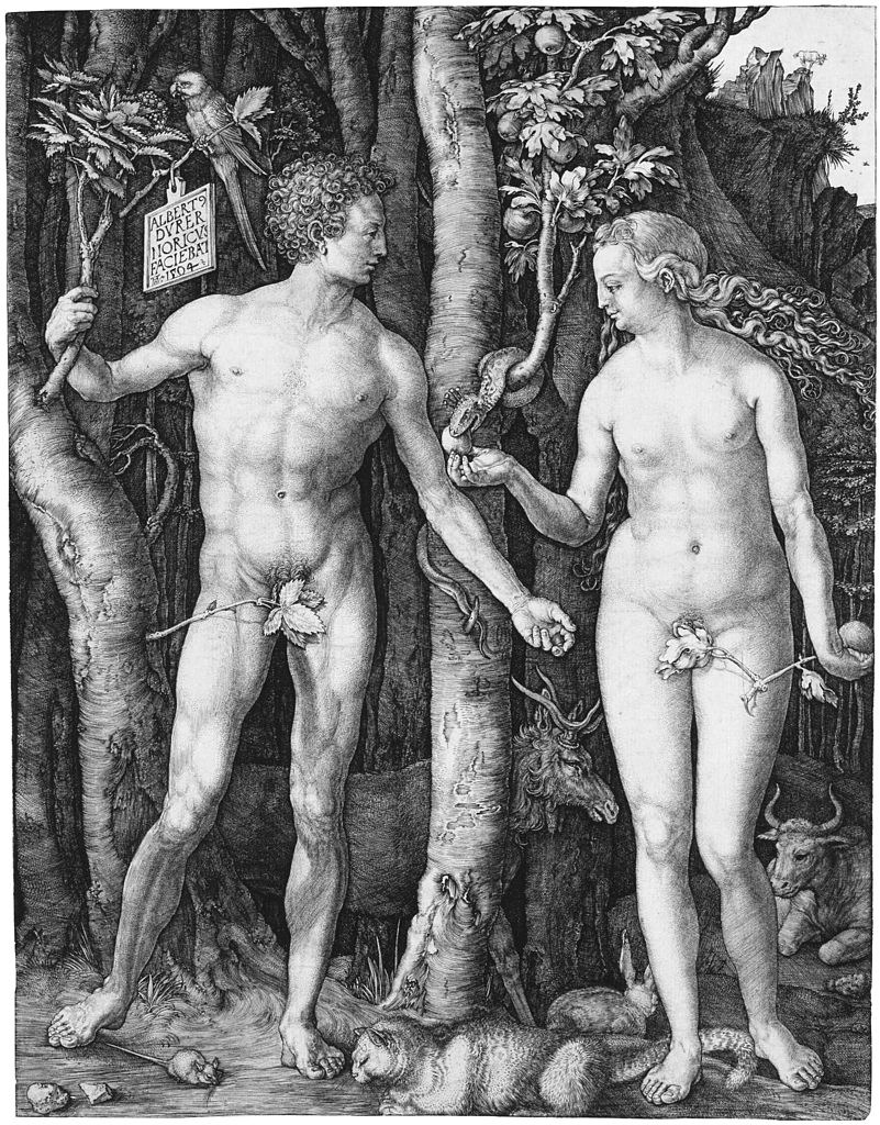 Adamo ed Eva, Dürer,1504 Come in Leonardo, lo studio delle proporzioni umane e della