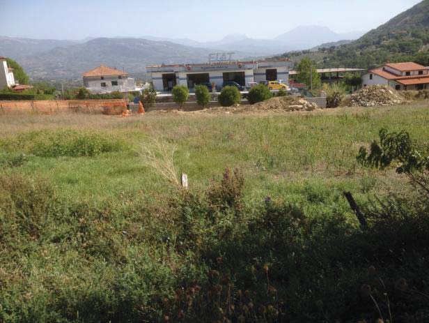 Lotto n.4: Terreno agricolo con uliveto, ubicato nel Comune di Roccadaspide, Frazione Serra.