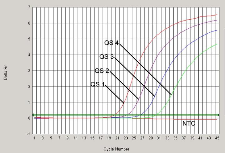 Per l analisi dei processi quantitativi seguire le istruzioni fornite nel paragrafo 8.