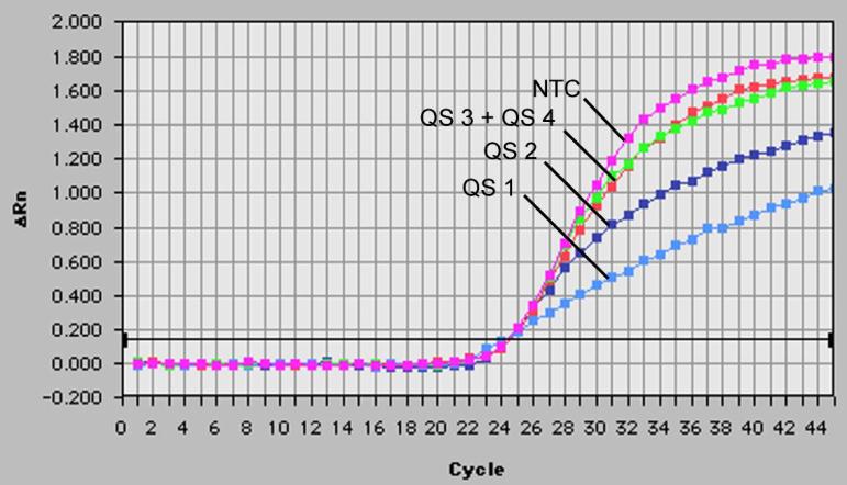 Fig. 24: Rilevazione del Controllo interno (IC) mediante misurazione del segnale di fluorescenza VIC (ABI PRISM 7000 SDS) con simultanea amplificazione degli Standard di quantificazione (CMV LC/RG/TM