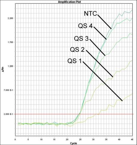 Fig. 27: Rilevazione degli Standard di quantificazione (CMV LC/RG/TM QS 1 4) mediante misurazione del segnale di fluorescenza FAM (ABI PRISM 7900HT SDS).