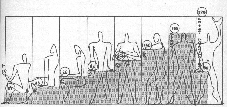 IL MODULOR - antropometria Il Modulor è uno strumento di misura nato dalla statura umana e dalla matematica.