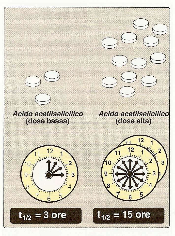 > 4 g/day 650 mg/day EFFETTI DELLA DOSE SUL TEMPO DI DIMEZZAMENTO DELL ASPIRINA Dissoluzione Assorbimento