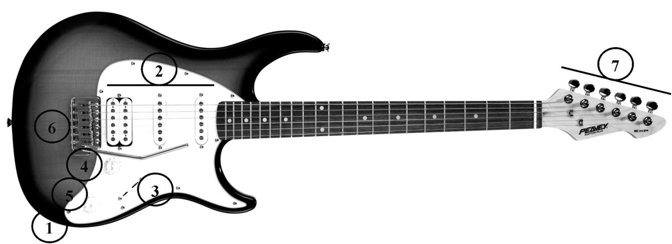 Raptor Plus EXP Chitarra elettrica SPECIFICHE-CARATTERISTICHE Corpo: Legno solido Manico: Acero avvitato al corpo Tastiera: Palissandro a 21 tasti e segnatasti dot Scala: 25 ½ Pickup: 2x single coil