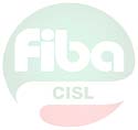 Fiba/Cisl Forlì-Cesena COMMISSIONE PARITETICA IN TEMA DI APPRENDISTATO