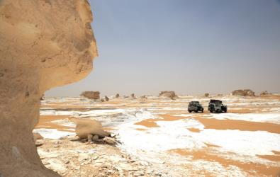 Arrivo a Wadi Rayan, visita delle bellissime cascate nel mezzo al deserto. Proseguimento con Wadi Hitan e l oasi di Baharya.