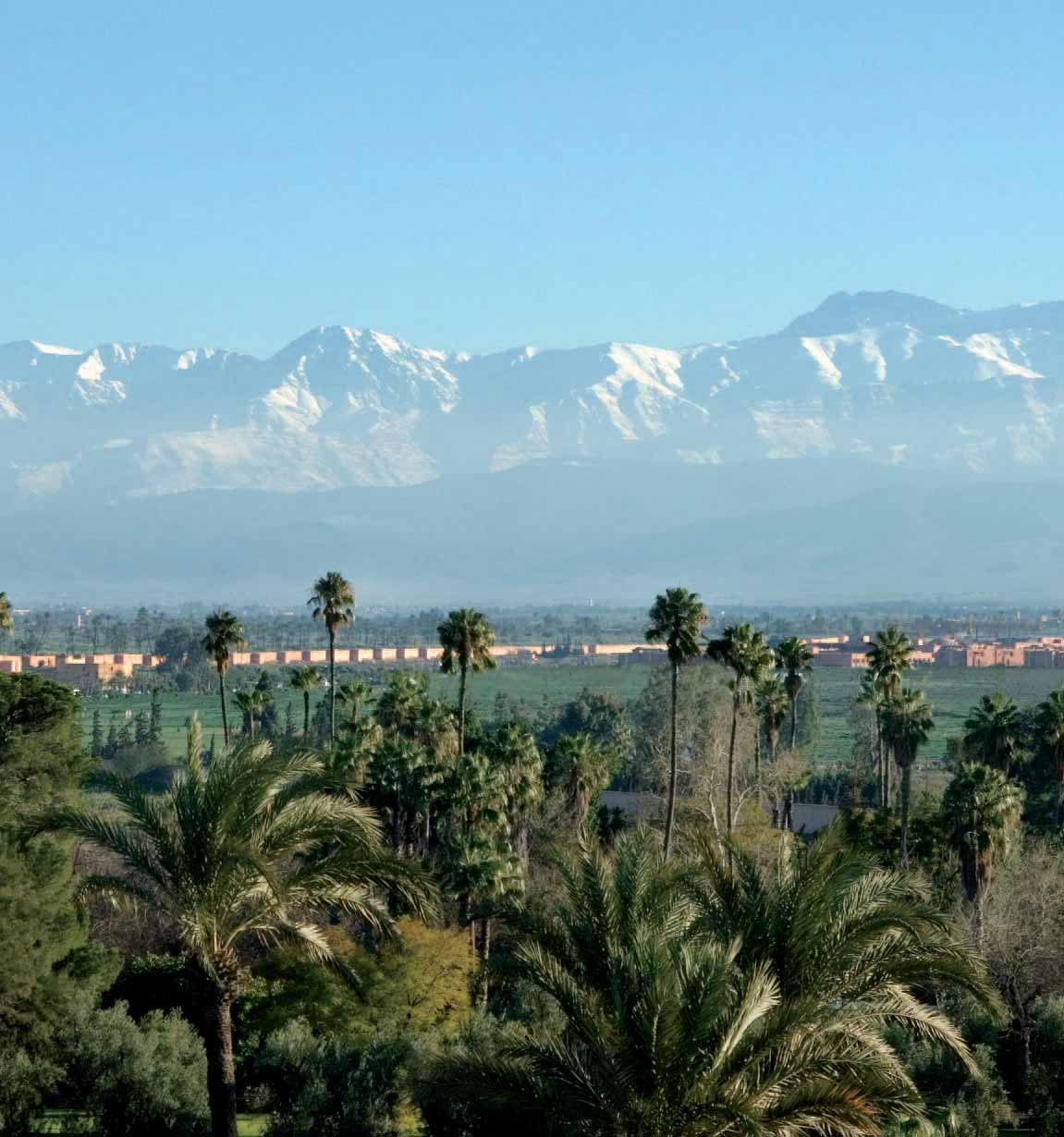 MAROCCO - MARRAKECH - LA MAMOUNIA L alba