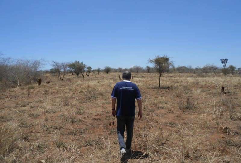 Domenica 22 Marzo In Karamoja è emergenza siccità, l'appello di Africa Mission Campagna Il pozzo di Papa Francesco campagna per 100 nuovi pozzi per il Karamoja.