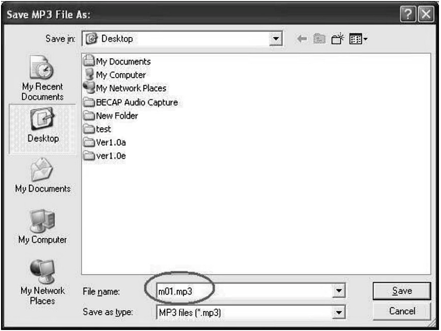 Trasformare l audio analogico in file formato MP3 digitale. Fare clic sul tasto rosso di registrazione per avviare la registrazione audio desiderata.