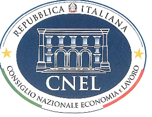 Consiglio Nazionale dell Economa e del Lavoro Istituto Nazionale di Statistica Comitato CNEL - ISTAT