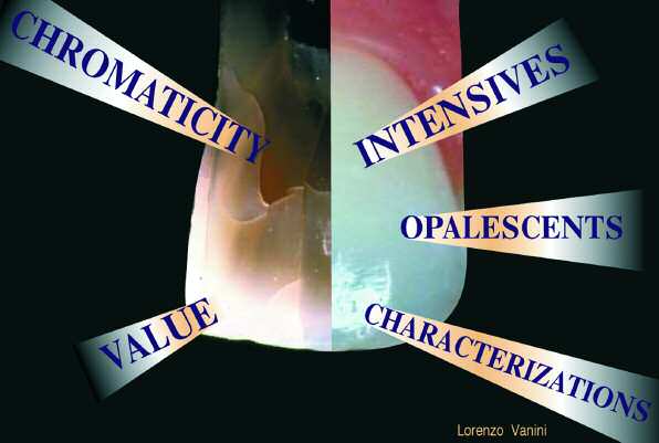 IL COMPOSITO CHE SI ILLUMINA THE