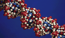 What is a SNP Map? Human DNA 3 billion nucleotide base pairs 99.