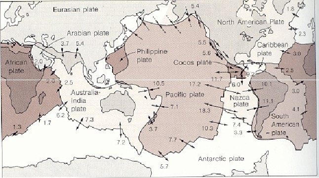 AMBIENTI MARINI E DINAMICA CROSTALE I bacini oceanici Si tratta di grandi pianure sommerse con profondità che vanno dai 2000-2500 m fino ai