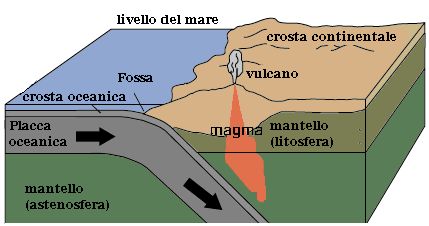 Nei pressi delle dorsali le rocce sono più giovani Più ci allontaniamo dalle dorsali più aumenta l età delle rocce Le rocce