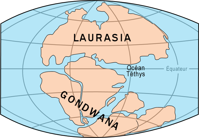 Circa 200 milioni di anni fa, la Pangea si suddivise in due supercontinenti: il Laurasia (Europa, Asia e Nordamerica) e il Gondwana (Sudamerica, Africa e Oceania) separati