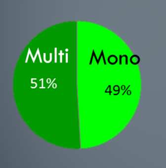 RDM 20% (da RDM) R Multi 13,7 mila t 14% 17% (da RDM) R ALTRI