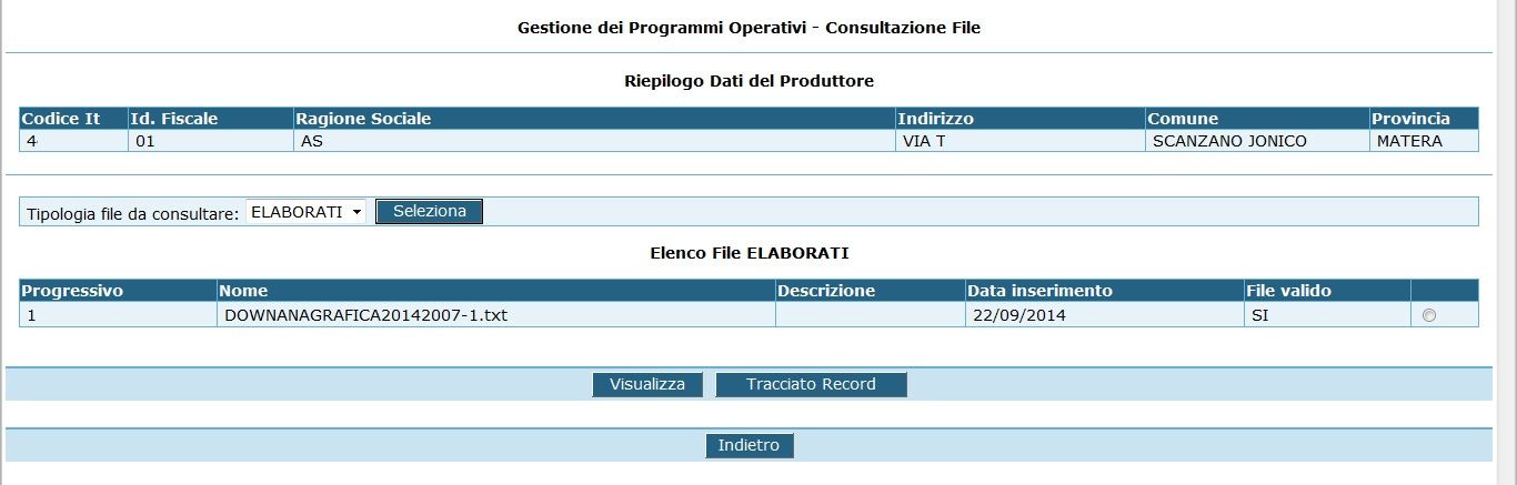 aver selezionato il file di interesse e premuto il tasto visualizza verrà mostrato a video il contenuto del file elaborato con gli eventuali errori riscontrati durante l