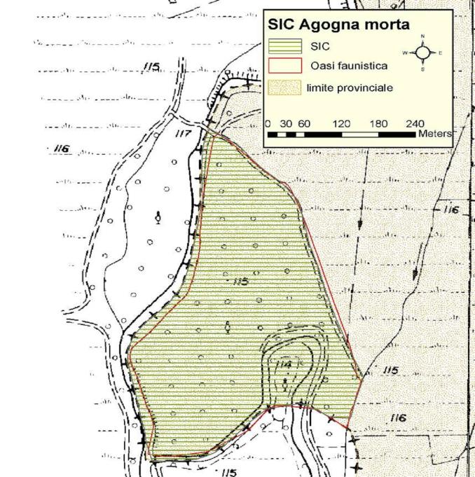 SIC Agogna morta Descrizione e localizzazione