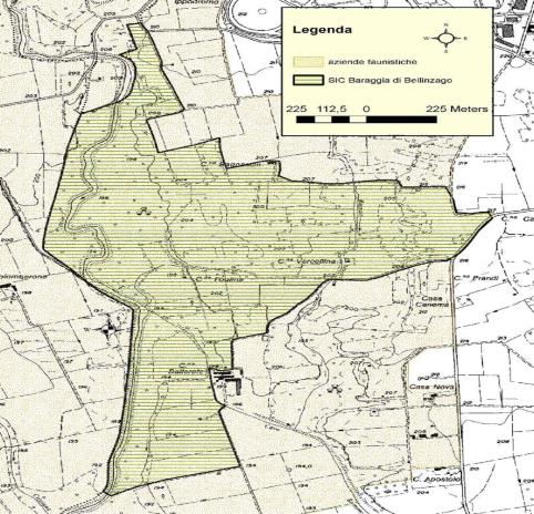 SIC Baraggia di Bellinzago Descrizione e localizzazione del sito L area è caratterizzata da un terrazzamento di origine rissiana ricoperto da formazione