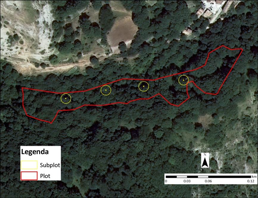 delle specie presenti nel bosco; nel diagramma sono riportate le percentuali delle specie sottolineate nelle legenda.