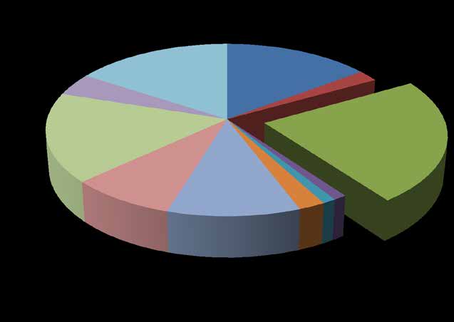 ronico, 14,7% Trasmissione, 2,1% Idraulica, 23,2% Ba tore, 8,4% collo