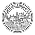 Pag. 2 di 9 1. IDENTIFICAZIONE DELLA SOSTANZA / DEL PREPARATO E DELLA SOCIETÀ 1.1. Identificatori del prodotto Nome del prodotto CLOVIDIS Codice del prodotto CLS Marca GENERIKO EXTRA N.CAS N.A. 1.2. Usi pertinenti identificati della sostanza o miscela e usi consigliati Usi identificati Soluzione per decontaminazione e disinfezione di dispositivi medici.