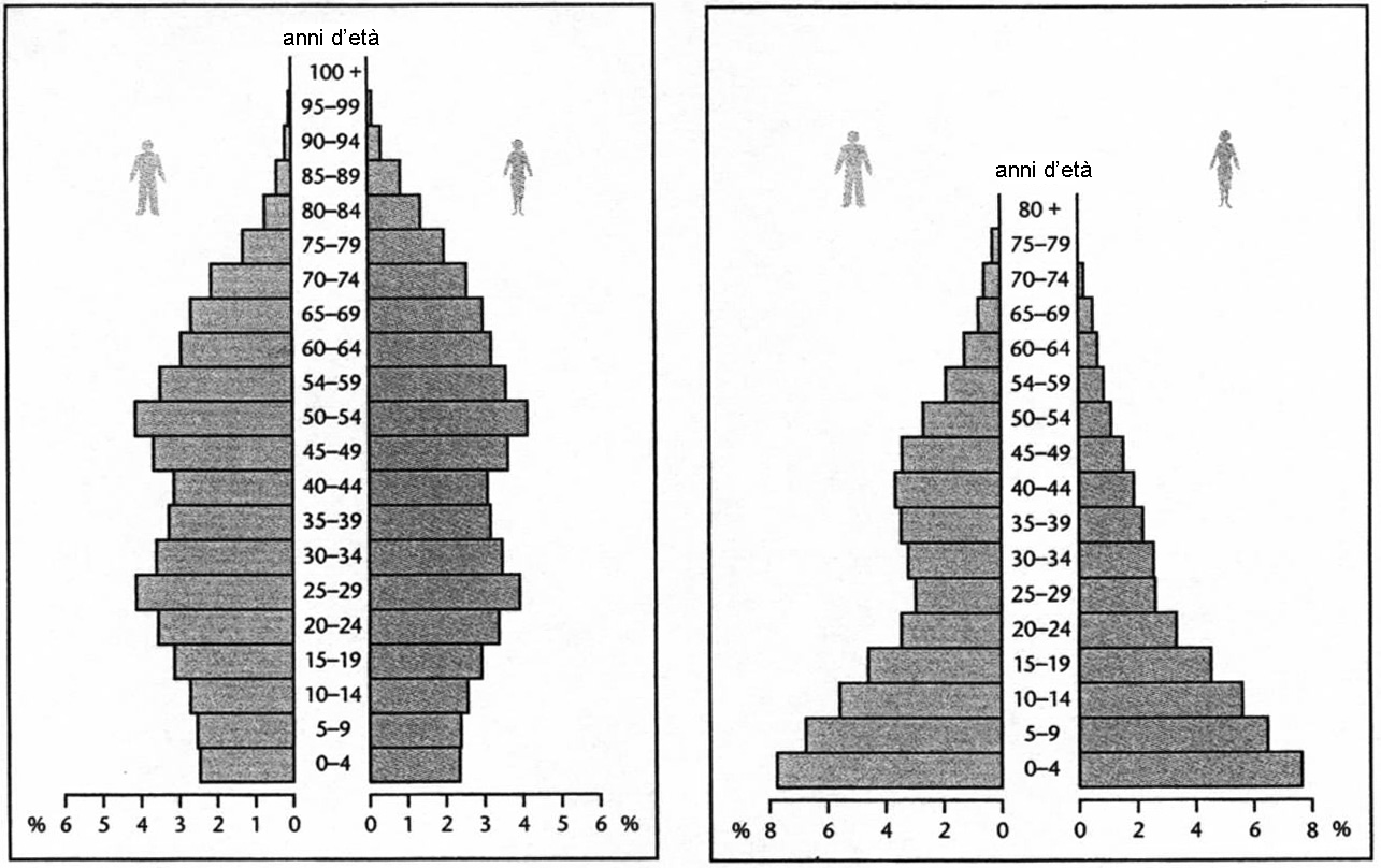 Le piramidi d'età nel grafico n. 2 rappresentano l'età ed il sesso della popolazione del Giappone, dell' Arabia Saudita e dell' India.