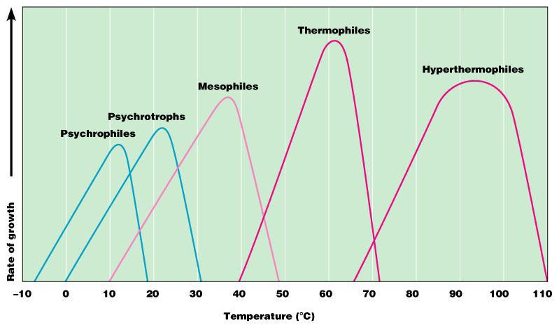 TEMPERATURA Psicrofili -10 C a +20 C (L.