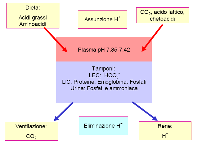 PRODUZIONE E