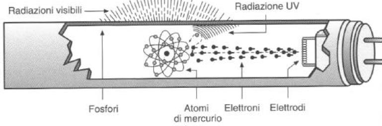 SORGENTI Poichè sono pochissimi i fotoni che raggiungono il detector occorrono lampade potenti per generare una eccitazione