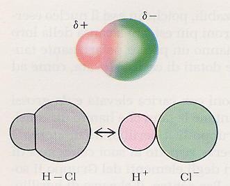 Legami eteropolari Il legame covalente che si stabilisce tra due atomi