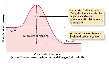 15 LE TEORIE SULLA VELOCITÀ DI REAZIONE SPIEGANO LE LEGGI SPERIMENTALI DELLA VELOCITÀ