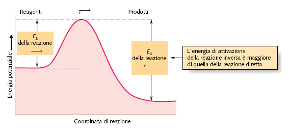 15 LE TEORIE SULLA VELOCITÀ DI REAZIONE SPIEGANO LE LEGGI SPERIMENTALI DELLA VELOCITÀ IN TERMINI DI URTI MOLECOLARI L energia di